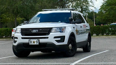 Man shot dead in domestic dispute in DeLeon Springs - The Daytona Beach News-Journal | Operation Oya | Scoop.it