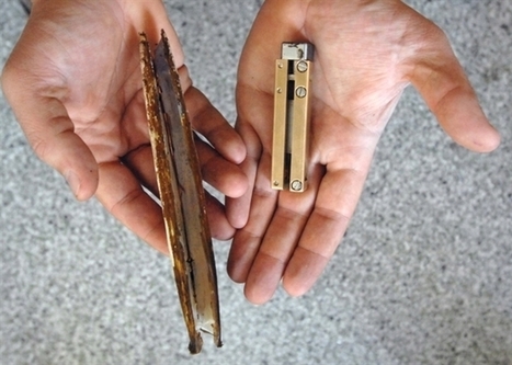 Robot Razor Clams Make Better Anchors | Biomimicry | Scoop.it