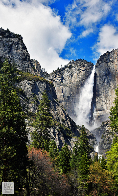 The Secret to Seeing Yosemite in a Day | Things To Do In San Francisco | Scoop.it