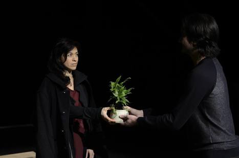 Jardin Suspendus : le Japon au théâtre de Belleville - Théâtre | Revue de presse théâtre | Scoop.it