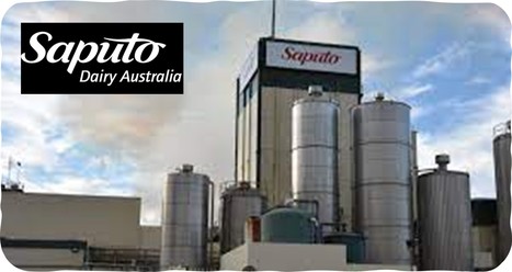 Australie : Des projets de consolidation des activités de Saputo | Lait de Normandie... et d'ailleurs | Scoop.it