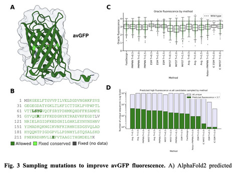 Self-supervised machine learning methods for protein design improve sampling, but not the identification of high-fitness variants | Brvbi | RMH | Scoop.it