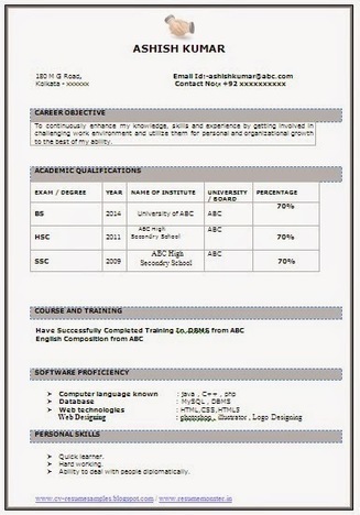 Best IT Fresher Resume Sample  Career  Scoop