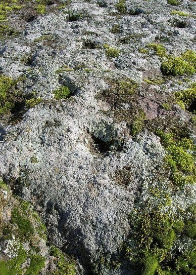 Sysm&auml; - Historia | 1Uutiset - Lukemisen t&auml;hden | Scoop.it