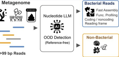 Fast and accurate taxonomic domain assignment of short metagenomic reads using BBERT | nar | RMH | Scoop.it