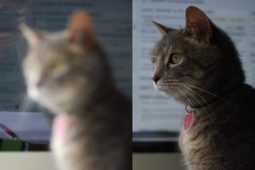 Cet algorithme permet d’améliorer la qualité d’une image pixelisée | IA, DATACENTER & TRANSITION DIGITALE | Scoop.it