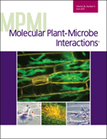 Medicago truncatula esn1 defines a genetic locus involved in nodule senescence and symbiotic nitrogen fixation | Plant-Microbe Symbiosis | Scoop.it