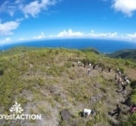 La Réunion (974) | Reforest'Action | Eco-Friendly Lifestyle | Scoop.it