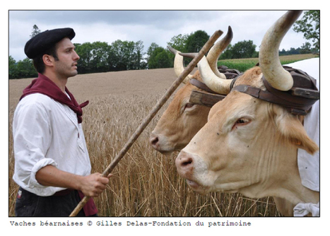 Le patrimoine rural, un bien commun à sauvegarder | Paysage - Agriculture | Scoop.it