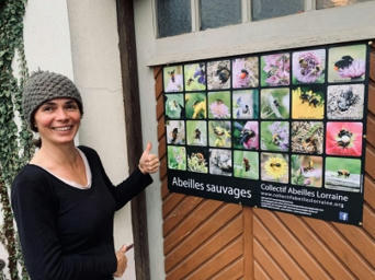 Abeilles Lorraine | Au fil des Associations | Scoop.it