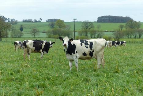 LAIT : La Confédération paysanne, membre du Cilouest | Lait de Normandie... et d'ailleurs | Scoop.it