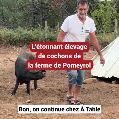 La ferme de Pomeyrol | Lablachère, Sud Ardèche | Scoop.it