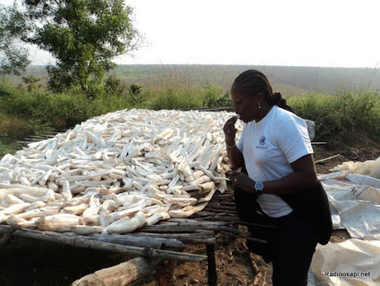 RD Congo : adoption de la loi réglementant l'agriculture au Sénat | Questions de développement ... | Scoop.it