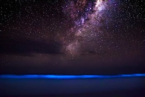 Photographer Captures Incredible Photo of the Milky Way Above a Glowing, Bioluminescent Ocean | Mobile Photography | Scoop.it