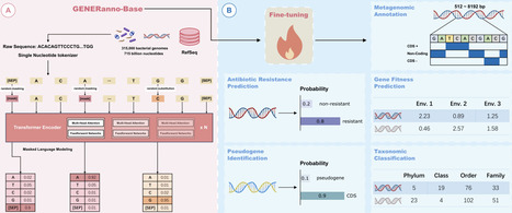 GENERanno: A Genomic Foundation Model for Metagenomic Annotation | Brvbi | RMH | Scoop.it