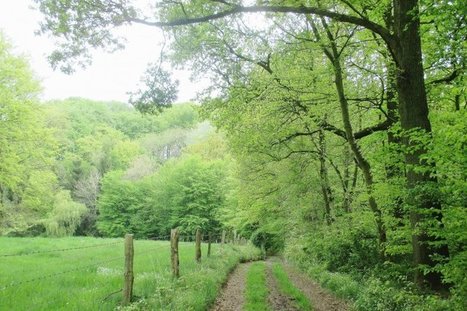 Yvetot. Promenade insolite : le chemin rural, patrimoine communal | Une semaine d'actu - Newsletter de veille de l'AURH | Scoop.it