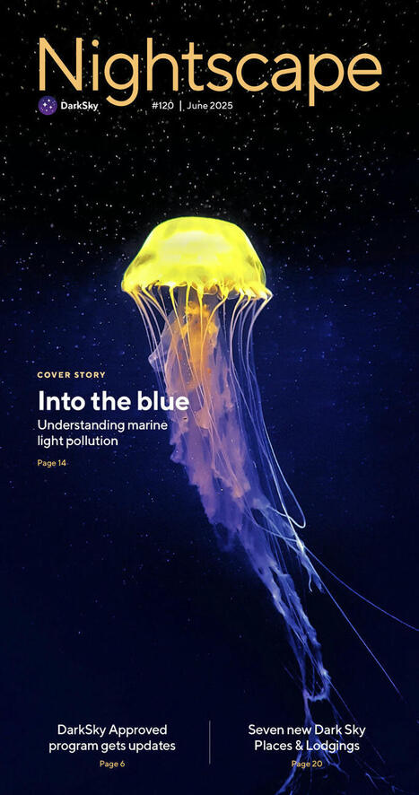 #ocean #regenerative #darksky #darkskies #regeneration #marinelife… | Megan Eaves | LIGHTING-Innovation-Design | Scoop.it