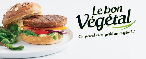 Nos univers produits | Huiles végétales | Scoop.it
