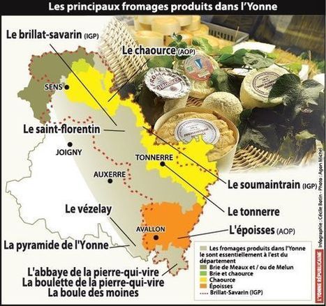 Les fromages produits dans l'Yonne ne souffrent pas de la crise | Lait de Normandie... et d'ailleurs | Scoop.it