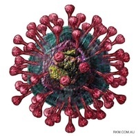ScienceDirect.com - Virus Research - Genomic characterization of seven distinct bat coronaviruses in Kenya | Virology News | Scoop.it