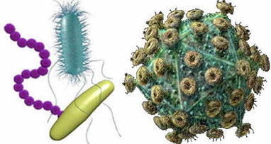 Diferencias entre virus y bacterias. | Artículos CIENCIA-TECNOLOGIA | Scoop.it
