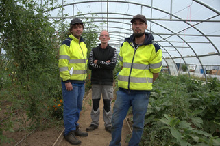 Aux Jardins des Restos du c&oelig;ur, les l&eacute;gumes germent, tout comme les projets professionnels pr&egrave;s de Dieppe | Veille territoriale AURH | Scoop.it