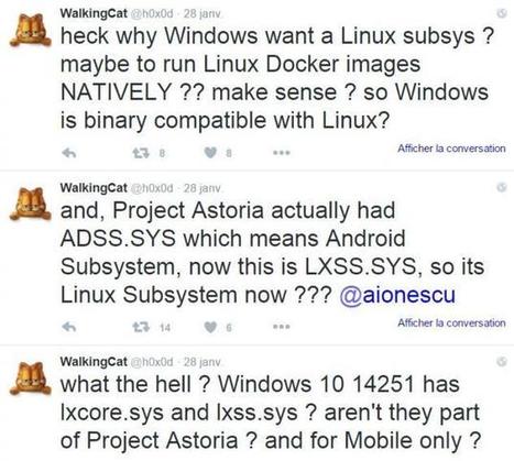 Un Linux se cache-t-il dans Windows 10 Redstone ? | Algos | Scoop.it