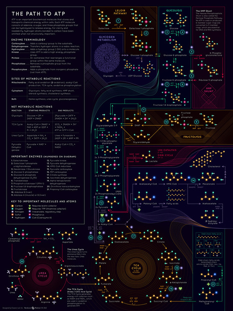 A galaxy of molecules | IELTS, ESP, EAP and CALL | Scoop.it