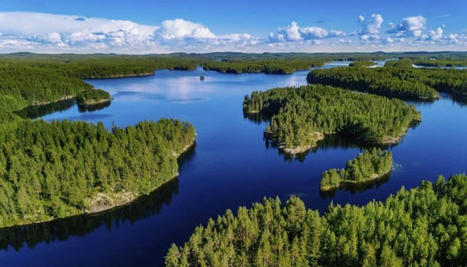 Durabilité : Metsä Board de nouveau certifié niveau Platine par EcoVadis | Témoignages Clients EcoVadis | Scoop.it