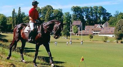 Co&ucirc;teux et inadapt&eacute;, l'institut fran&ccedil;ais du cheval est sur la sellette | Cheval et Nature | Scoop.it