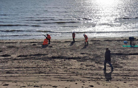 Angleterre : Des millions de billes en plastique échouent sur les plages, une compagnie d’eau pointée du doigt / le 10.11.2025 | Pollution accidentelle des eaux (+ déchets plastiques) | Scoop.it