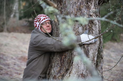 Monella suomalaisella on puuyst&auml;v&auml;, jonka kanssa voi jakaa huolet ja murheet &ndash; "Puusta on ollut paljon apua ja tukea vaikeina aikoina" | Yle Uutiset | yle.fi | 1Uutiset - Lukemisen t&auml;hden | Scoop.it