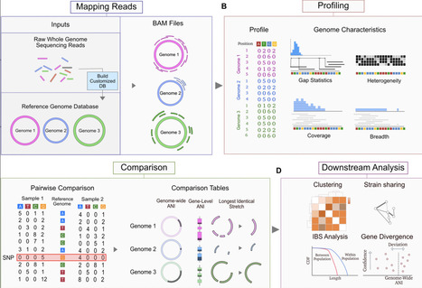 ZipStrain Enables Rapid and Precise Strain-Resolved Metagenomics | brvbi | RMH | Scoop.it