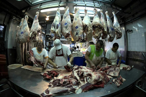 L'Argentine suspend pour 30 jours les exportations de viande bovine | Actualité Bétail | Scoop.it