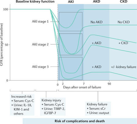 Acute kidney injury | Peritoneal dialysis | Scoop.it