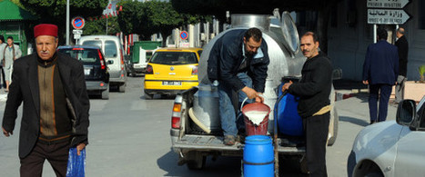 Face à la suproduction de lait, négociation en cours entre la Tunisie et l'Algérie pour l'exportation de lait en poudre | Lait de Normandie... et d'ailleurs | Scoop.it