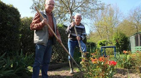La Roche-sur-Yon. &Agrave; la Vigne-aux-Roses, les jardins fleurissent | L'actualit&eacute; des quartiers politique de la ville de Bretagne et Pays de la Loire | Scoop.it