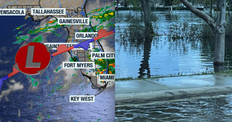 Flood risk across parts of Florida, worsened by the King Tides - WUSF.org | Operation Deimos | Scoop.it
