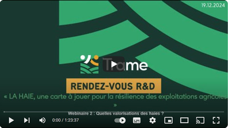 Quelles formes de valorisation des haies ? - Trame | Pour innover en agriculture | Scoop.it