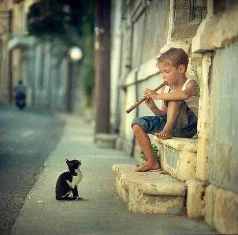 Most Interesting & Heart Touching Photograp...