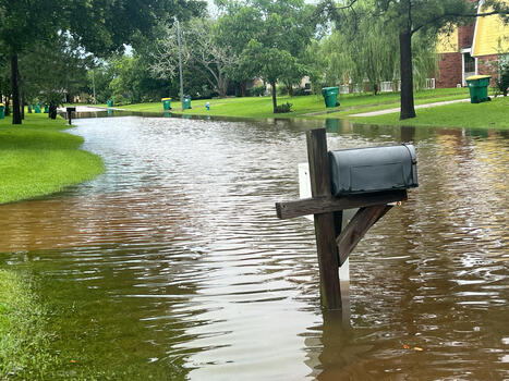 What You Should Know About Natural Disaster Preparation | Best Home Decor  Maintenance Tips & More | Scoop.it