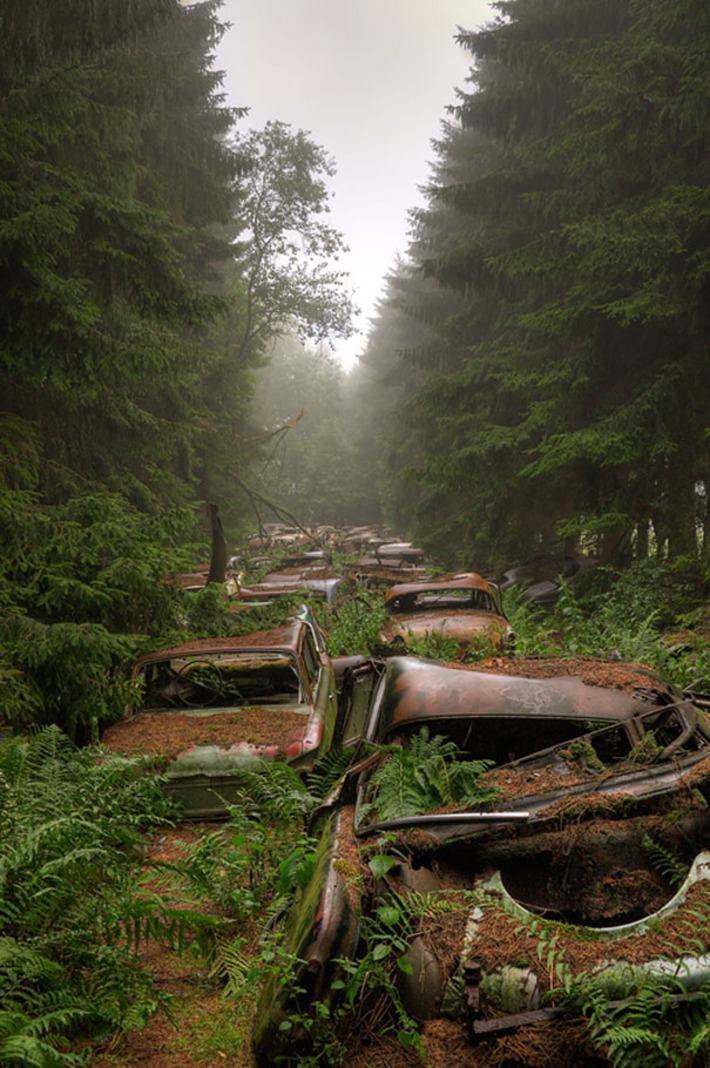 This Traffic Jam Was Stuck In Belgian Forest For 70 Years | Machinimania | Scoop.it