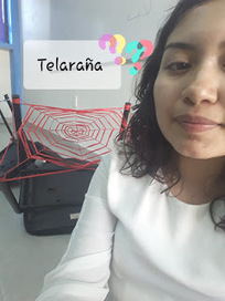 Realización de la telaraña | Asómate | Bichos en Clase | Scoop.it