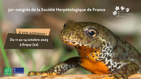 50ème congrès  de la Société Herpétologique de France  en octobre 2023 | Biodiversité | Scoop.it