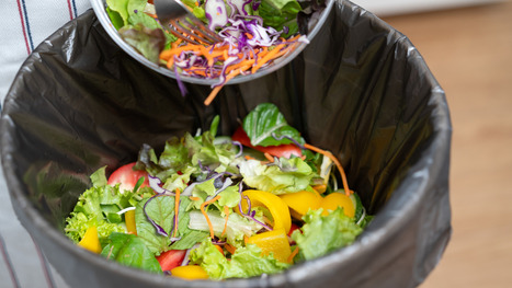 The Common American Kitchen Appliance You Rarely See In Other Countries | Industry 411 - Waste Management | Scoop.it