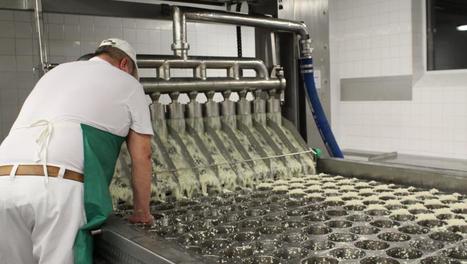 Embargo russe: la laborieuse conquête estonienne de nouveaux marchés | CONFLIT RUSSO-UKRAINIEN | Scoop.it