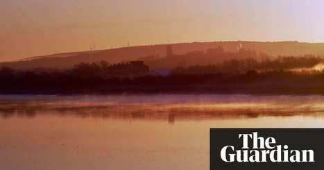 Country diary: avian pipers at the gates of dawn | Environment | The Guardian @DrPaulEvans1  | Nature Flash | Scoop.it