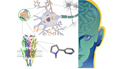 Drugs and the Brain | University-Lectures-Online | Scoop.it