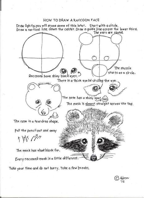 How to Draw a Raccoon - Easy Drawing Tutorial For Kids