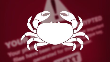 Victime de Ransomware ? Lisez ça. [rappel] – | UseNum - Ressources pédagogiques | Scoop.it